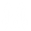 central coast arborist