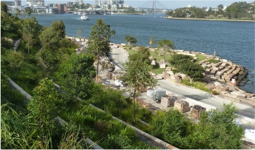 qualified arborist